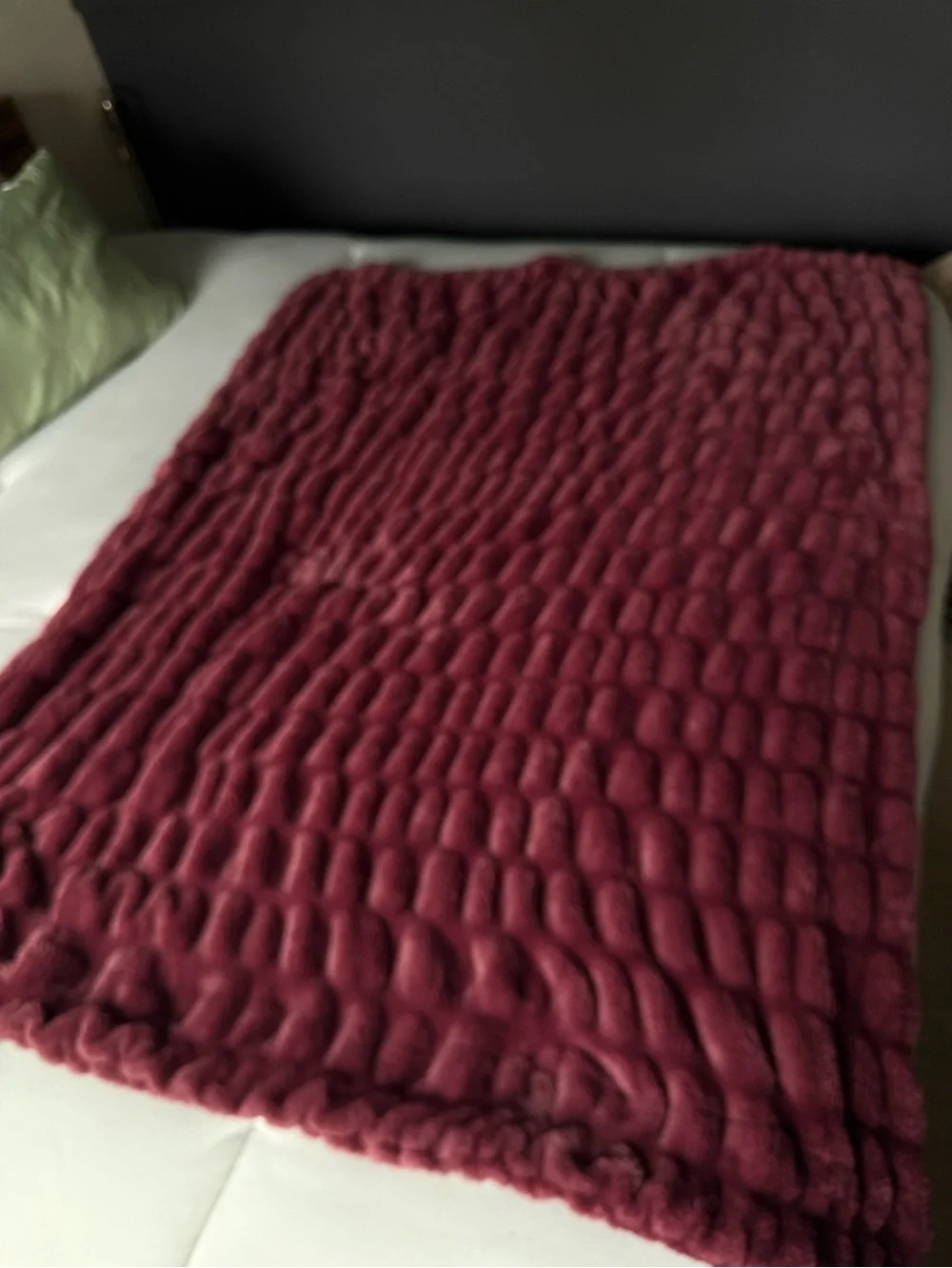 Lola Blankets Medium Burgundy Plush Throw Blanket
